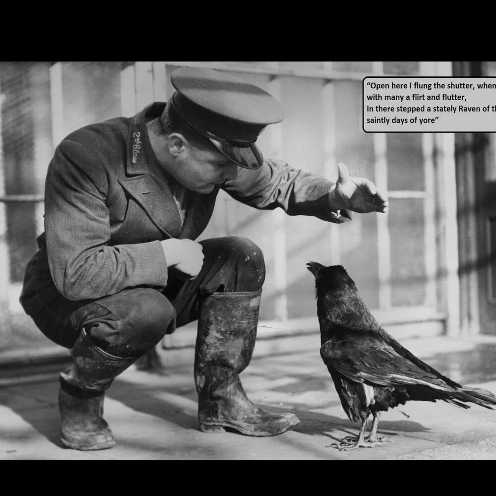Raven Calendar 2027 Ravens Planner with The Raven by Edgar Allan Poe Poetry